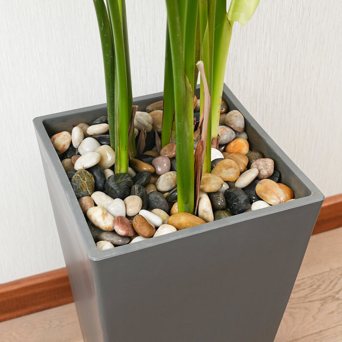house plant pebbles CONSDAN 12 LBS River Rocks Decorative Garden Stones for Plant Landscaping, Polished Mixed Pebbles Gravel Filler