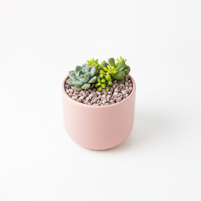 Decorative Gravel