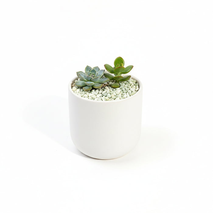Decorative Gravel