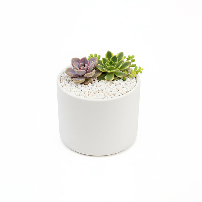 Decorative Gravel