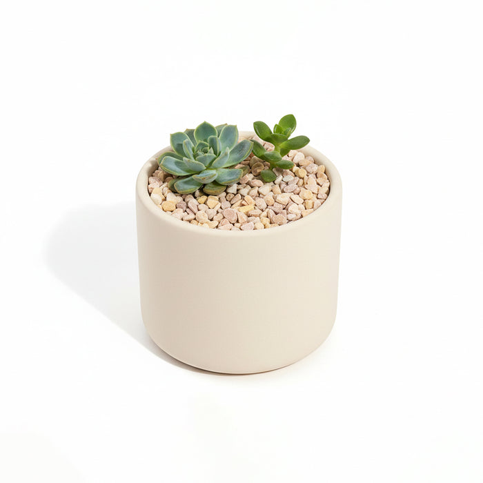 Decorative Gravel