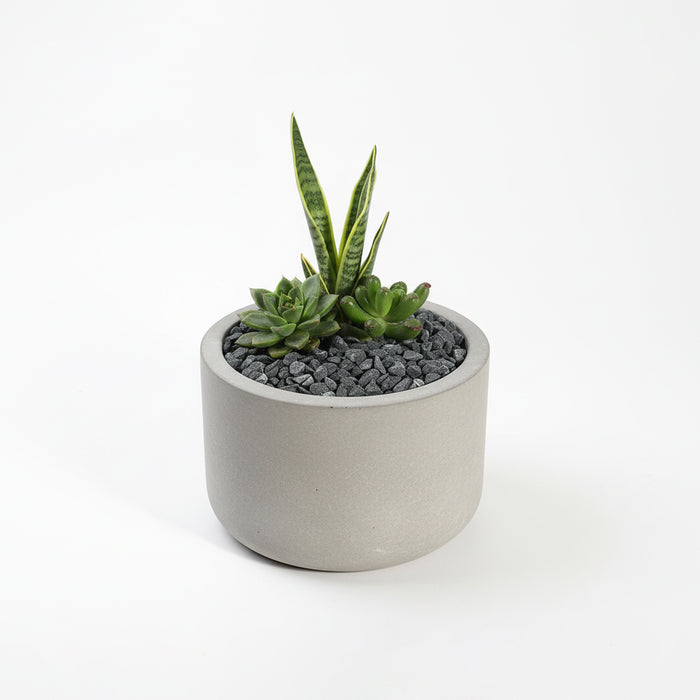 Decorative Gravel