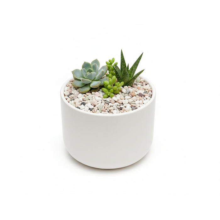 Decorative Gravel
